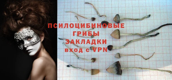 ALPHA PVP Алзамай