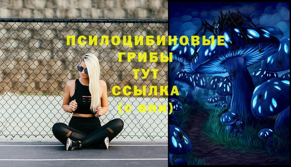 ALPHA PVP Алзамай