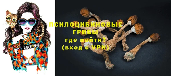 прущие крисы Алексин